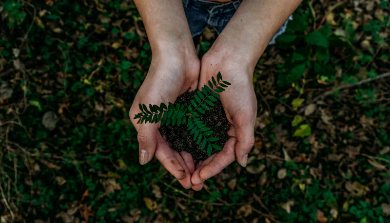 Campus Sustainability Drive: 4.5 Tons Recycled in First Month